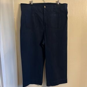 LC Lauren Conrad Women’s Plus Navy Wide Leg Pants